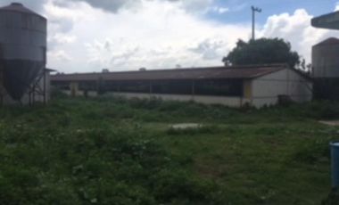 Terreno de 14 hectáreas en venta con granja avicola en Zumpango