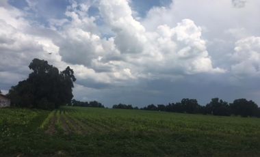 Terreno de 14 hectáreas en venta con granja avicola en Zumpango