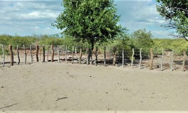 GREENWOOD VENDE CAMPO GANADERO EN SAN RAFAEL DE 5522Ha.