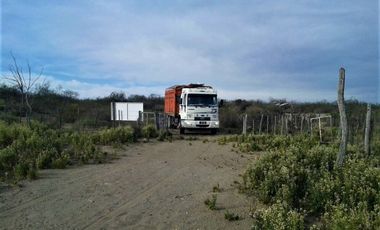 GREENWOOD VENDE CAMPO GANADERO EN SAN RAFAEL DE 5522Ha.