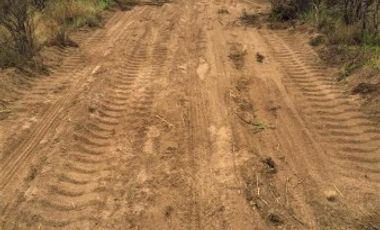 GREENWOOD VENDE CAMPO GANADERO EN SAN RAFAEL DE 5522Ha.