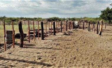 GREENWOOD VENDE CAMPO GANADERO EN SAN RAFAEL DE 5522Ha.
