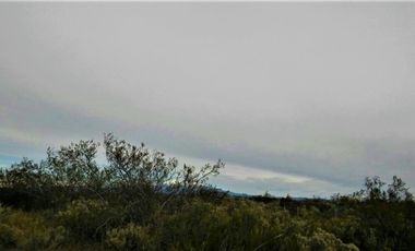GREENWOOD VENDE CAMPO GANADERO EN SAN RAFAEL DE 5522Ha.