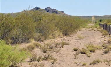 GREENWOOD VENDE CAMPO GANADERO EN SAN RAFAEL DE 5522Ha.
