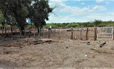 GREENWOOD VENDE CAMPO GANADERO EN SAN RAFAEL DE 5522Ha.