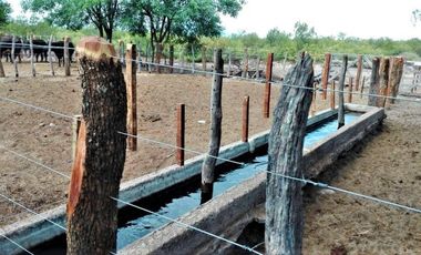 GREENWOOD VENDE CAMPO GANADERO EN SAN RAFAEL DE 5522Ha.