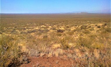 GREENWOOD VENDE CAMPO GANADERO EN SAN RAFAEL DE 5522Ha.