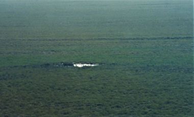 GREENWOOD VENDE CAMPO GANADERO EN SAN RAFAEL DE 5522Ha.