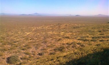 GREENWOOD VENDE CAMPO GANADERO EN SAN RAFAEL DE 5522Ha.