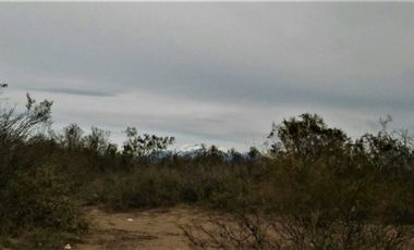 GREENWOOD VENDE CAMPO GANADERO EN SAN RAFAEL DE 5522Ha.