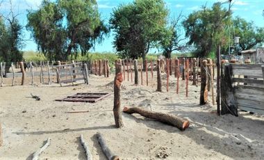 GREENWOOD VENDE CAMPO GANADERO EN SAN RAFAEL DE 5522Ha.