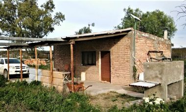 GREENWOOD VENDE CAMPO GANADERO EN SAN RAFAEL DE 5522Ha.