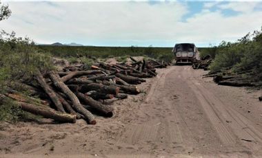 GREENWOOD VENDE CAMPO GANADERO EN SAN RAFAEL DE 5522Ha.