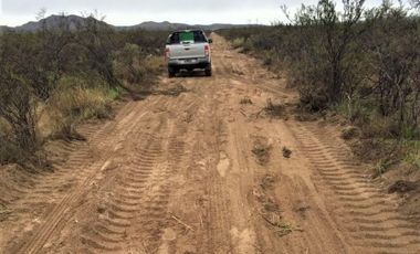 GREENWOOD VENDE CAMPO GANADERO EN SAN RAFAEL DE 5522Ha.