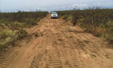 GREENWOOD VENDE CAMPO GANADERO EN SAN RAFAEL DE 5522Ha.