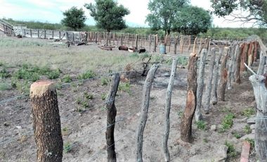 GREENWOOD VENDE CAMPO GANADERO EN SAN RAFAEL DE 5522Ha.