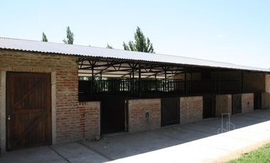 BAYUGAR PROPIEDADES/ CABALLERIZA/ SAN JORGE CHICO.