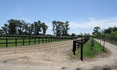 BAYUGAR PROPIEDADES/ CABALLERIZA/ SAN JORGE CHICO.