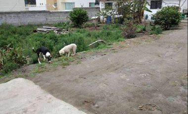 Venta de terreno con mediaguas en Otavalo en ciudadela Rumiñahui