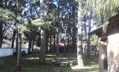 COSTA DEL ESTE: EXCELENTE CHALET de categoría estilo campo, con hermosa arboleda c/bosque de pinos y parque.A cdras del Mar.