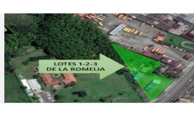 Lote 1-2-3 barrio la Romelia Dosquebradas, Risaralda