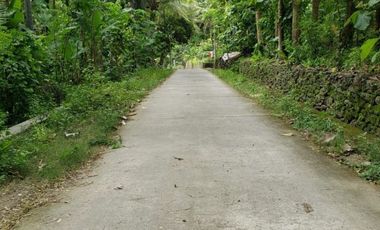 Tanah Pekarangan Dekat Alun-alun Bantul SHM Pecah Unit