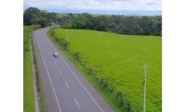 VENDO EXCELENTES TERRENOS CON ZONIFICACIÓN COMERCIAL, DAVID-BOQUETE