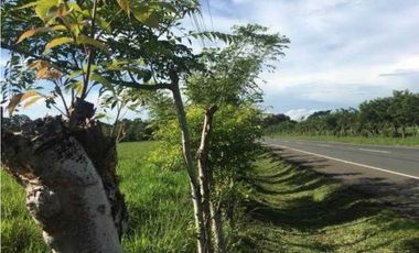 VENDO EXCELENTES TERRENOS CON ZONIFICACIÓN COMERCIAL, DAVID-BOQUETE