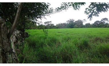 VENDO EXCELENTES TERRENOS CON ZONIFICACIÓN COMERCIAL, DAVID-BOQUETE