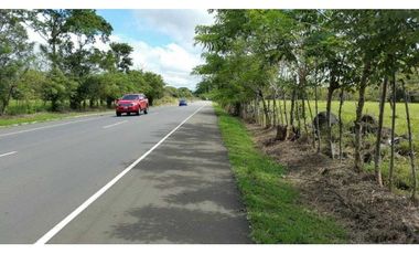 VENDO EXCELENTES TERRENOS CON ZONIFICACIÓN COMERCIAL, DAVID-BOQUETE