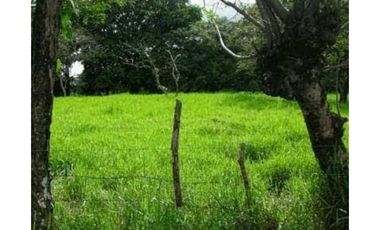 VENDO EXCELENTES TERRENOS CON ZONIFICACIÓN COMERCIAL, DAVID-BOQUETE
