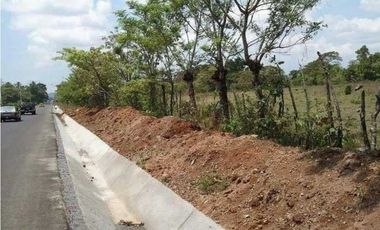 VENDO EXCELENTES TERRENOS CON ZONIFICACIÓN COMERCIAL, DAVID-BOQUETE