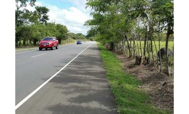 VENDO EXCELENTES TERRENOS CON ZONIFICACIÓN COMERCIAL, DAVID-BOQUETE