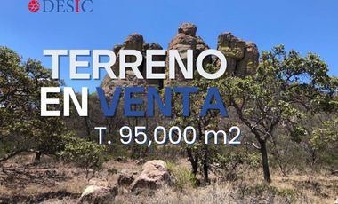 DESIC VENDE TERRENO 9.5 HECTAREAS (EN SIERRA DE LAUREL)