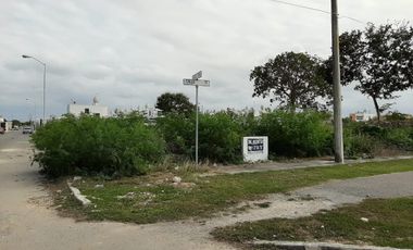 Terreno en RENTA en esquina sobre Av principal en Cd Caucel, Mérida