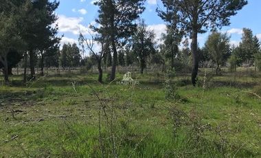 Parcela en Venta en Ruta 5 Sur, Q550