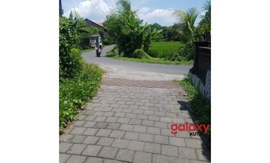 DIJUAL TANAH RAYA TANGEB KAPAL MENGWI BADUNG, BALI