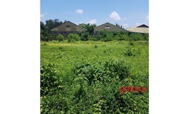 DIJUAL TANAH RAYA TANGEB KAPAL MENGWI BADUNG, BALI