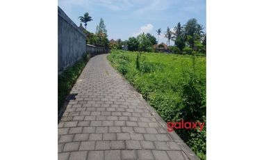 DIJUAL TANAH RAYA TANGEB KAPAL MENGWI BADUNG, BALI