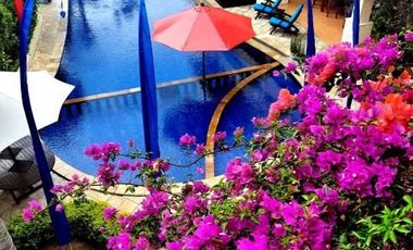 Hotel for sale in Lovina Buleleng Bali