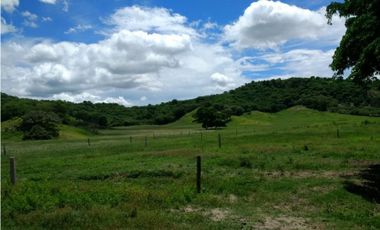 Finca en venta en el Tolima