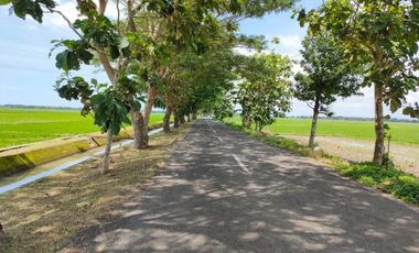 Tanah Kavling Purworejo, Standar Perumahan