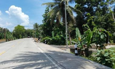 Kavling Utara Puskesmas Ngombol: Akses Mudah