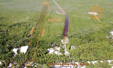 Terreno con Cenote En Venta | Tulum | Quintana Roo