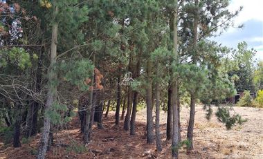 Parcela en Venta en San Carlos Puren - Retén Carabineros