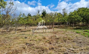 Parcela en Venta en San Carlos Puren - Retén Carabineros