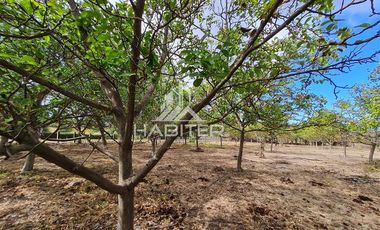 Parcela en Venta en San Carlos Puren - Retén Carabineros