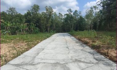 Tanah Perumahan Murah di Sedayu Jogja, Harga Nego