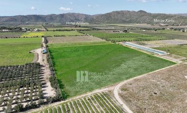3.37 HA.  FRENTE A MONTE XANIC