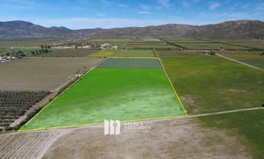 3.37 HA.  FRENTE A MONTE XANIC